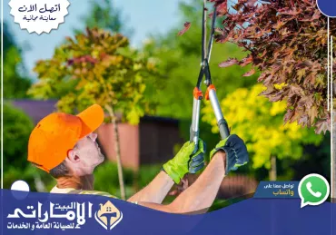شركة تنسيق حدائق في دبي 🎄 | 0582647738
