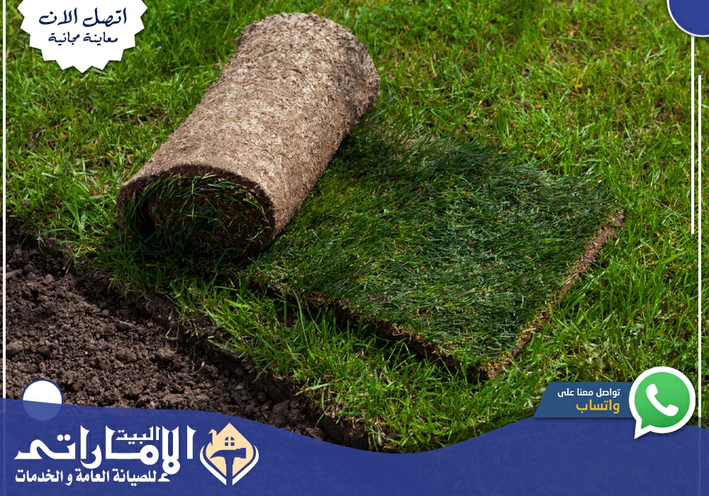 تركيب عشب صناعي في عجمان ⚒ | 0582647738