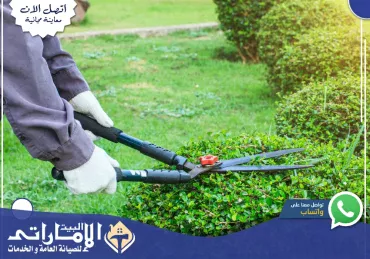 شركة تنسيق حدائق في أبوظبي | 0582647738