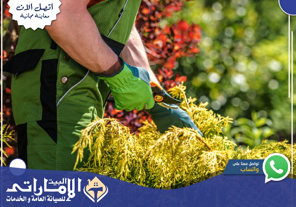 شركة تنسيق حدائق في أم القيوين 💯 | 0582647738