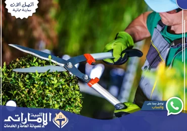 شركة تنسيق حدائق في أم القيوين 💯 | 0582647738