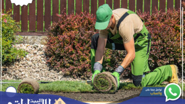تركيب عشب صناعي في رأس الخيمةð´ | 0582647738 تركيب عشب صناعي في رأس الخيمةð´ | 0582647738