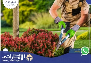 شركة تنسيق حدائق في عجمان🌼 | 0582647738 شركة تنسيق حدائق في عجمان🌼 | 0582647738