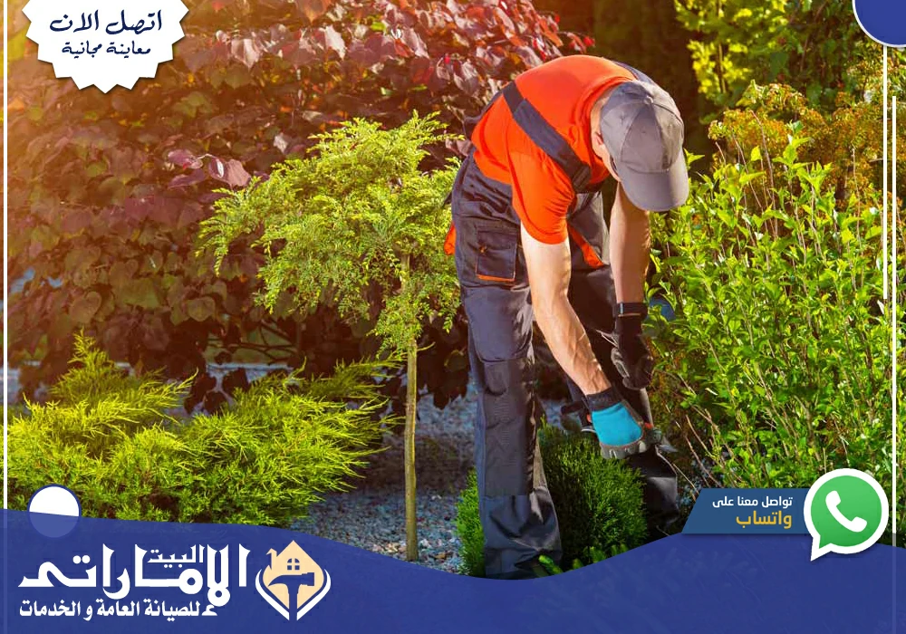 شركة تنسيق حدائق في رأس الخيمة 🌹| 0582647738