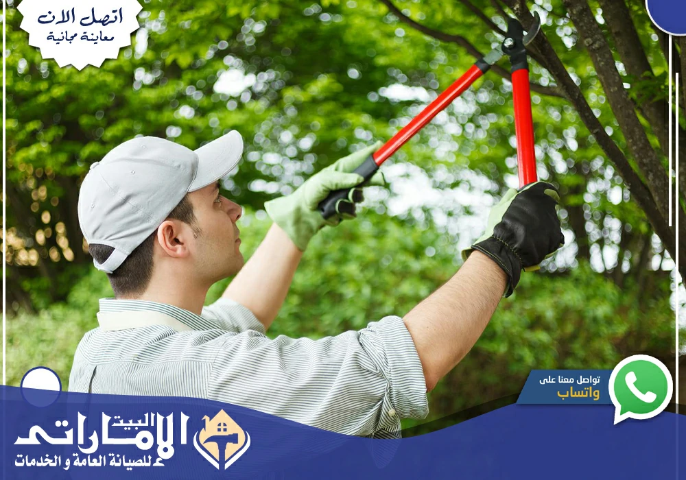 شركة تنسيق حدائق في رأس الخيمة 🌹| 0582647738