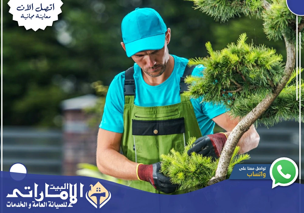 شركة تنسيق حدائق في رأس الخيمة 🌹| 0582647738