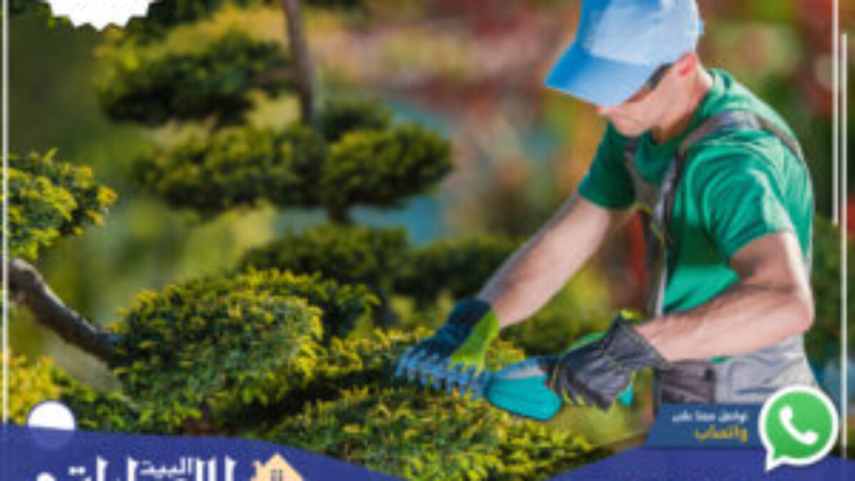 شركة تنسيق حدائق في الفجيرة ✔ | 0582647738