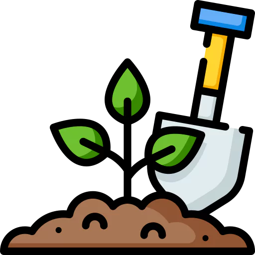 الخطوة الخامسة