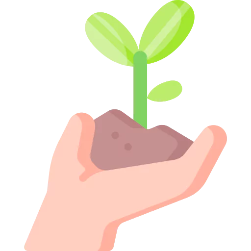 تنسيق حدائق الفلل أم القيوين